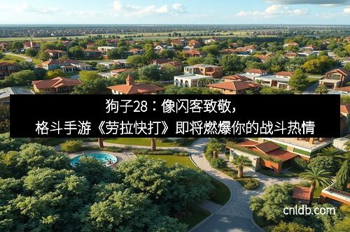 狗子28：像闪客致敬，格斗手游《劳拉快打》即将燃爆你的战斗热情